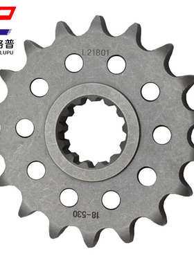 YZF-R1 XJR1200 XJR1300 MT-01 FZ1 FZS FZ1N FZ1S牙链盘链轮小齿
