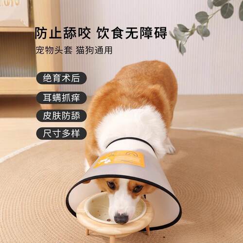 Elizabethan collar for dogs and cats, also known as a protec