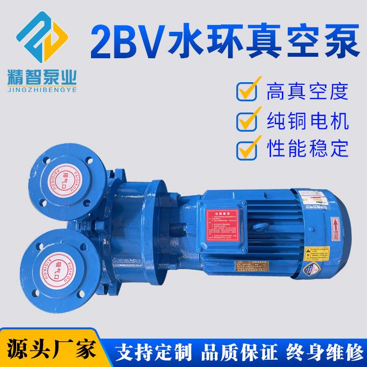 厂家直供2BV水循环真空泵吸气量大吸污净化车中药提炼乳化设备用