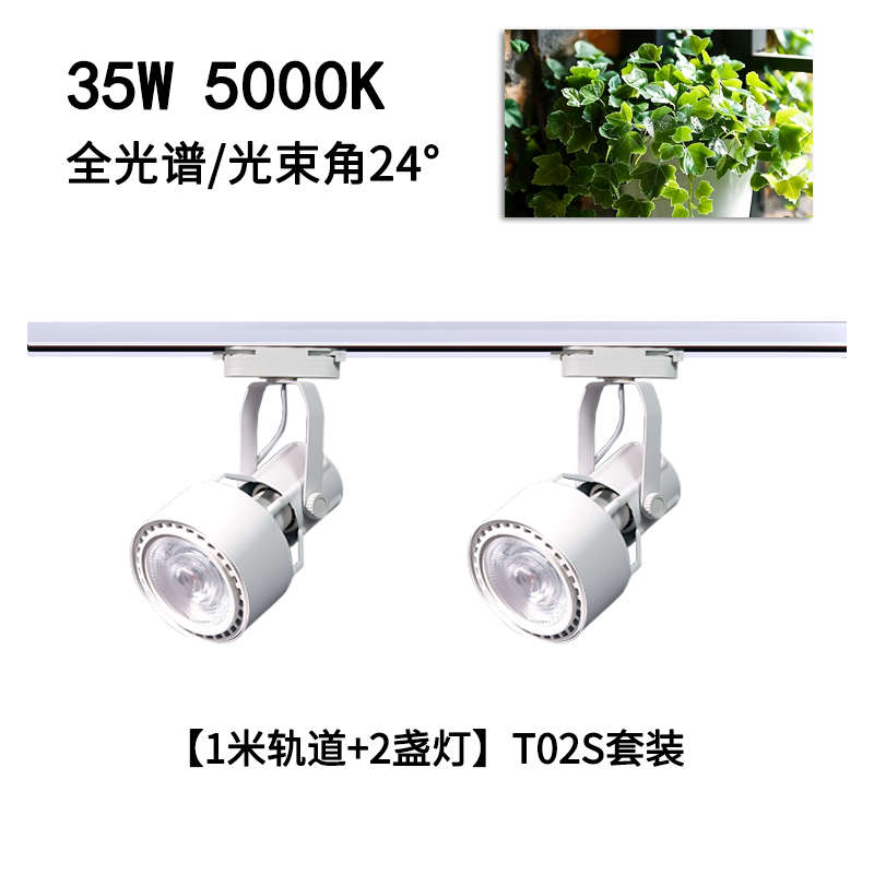 灯室内射灯景观全自然光光谱光灯生长植物植筒造景墙轨道补绿led