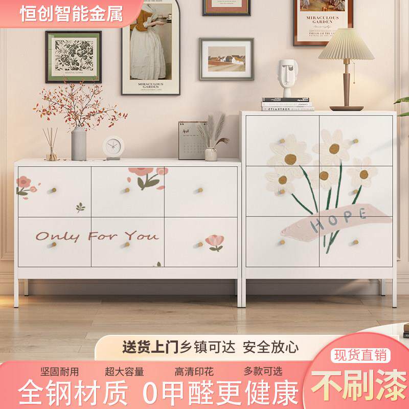 现代铁艺卧室简约防尘收纳抽屉柜客厅家用钢制环保双门多层储物柜