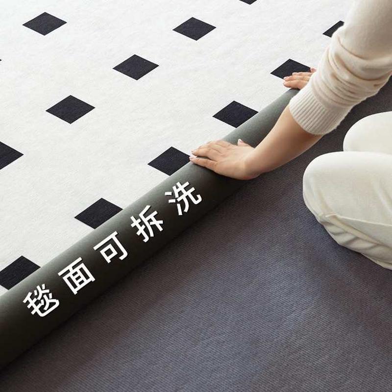可拆洗机洗地毯客厅双层新款卧室茶几防水免打理厚地垫轻奢奶油风