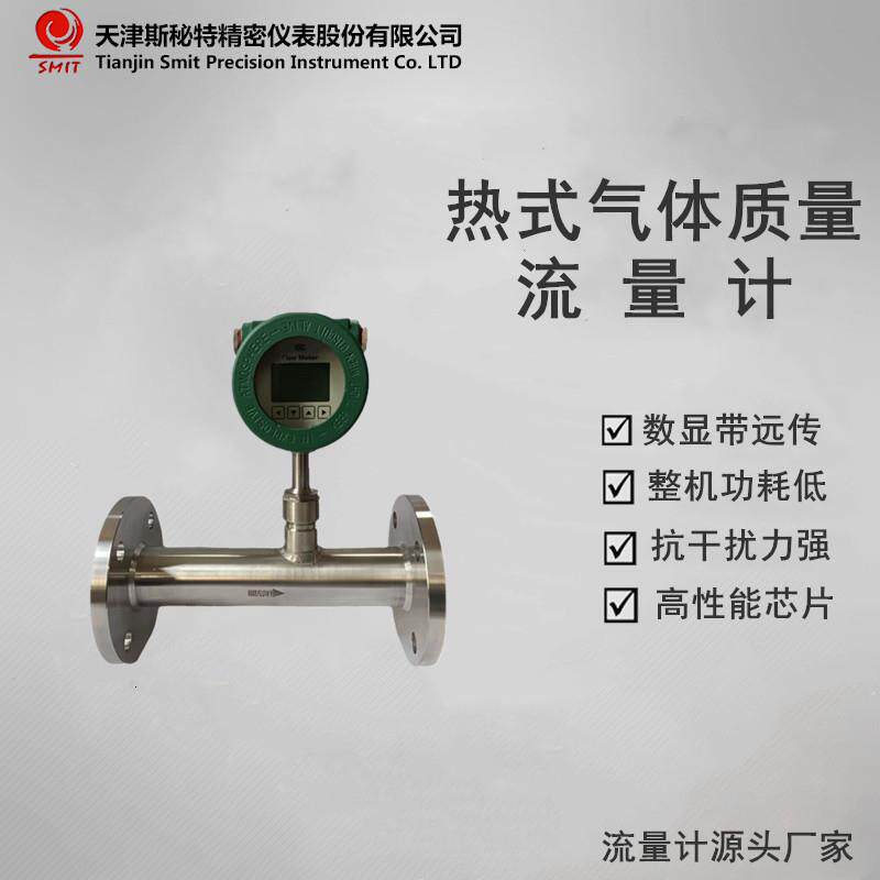 天津仪表热式气体质量流量计空气流量计氧气流量计