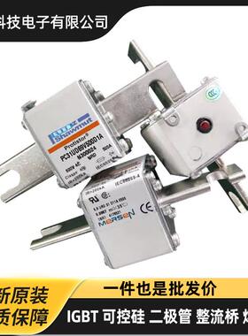 罗兰A100UD73TTI1250 M301058 A090UD73TTI1400 N301059熔断器