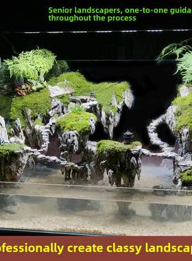 水陆池景观成品包小微景观骨架石雾化超白玻璃生态鱼缸定制