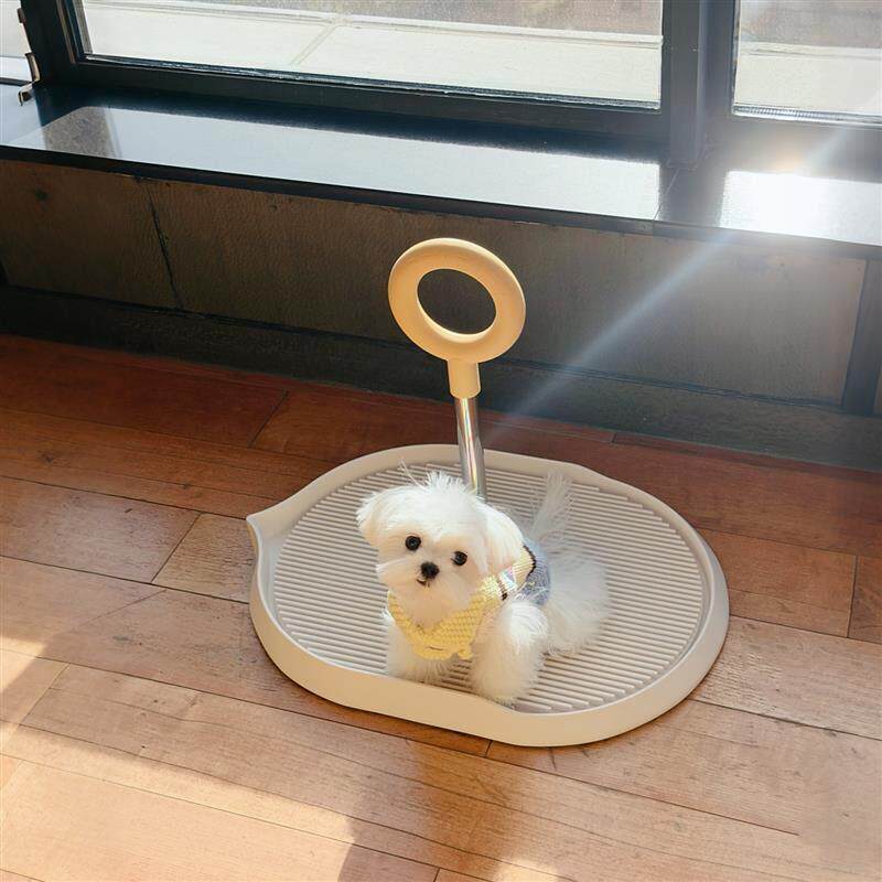 狗厕所防踩屎网架中小型犬立柱定点上厕所神器甜甜圈冲水排便盆子