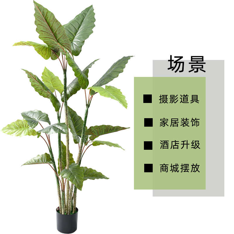 北欧风仿生绿植彩虹芋树户外绿化工程人造假树摆件室内装饰仿真树