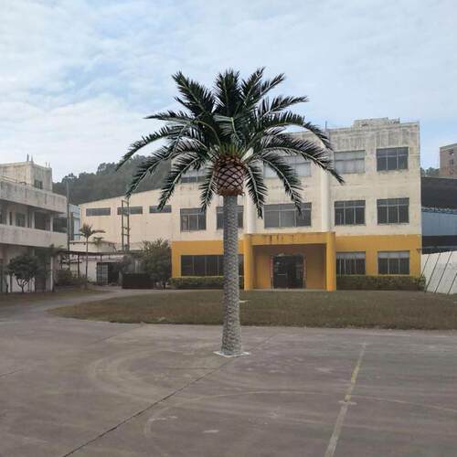 直销仿真玻璃钢海藻树室外大型仿真人造热带椰子树棕榈树
