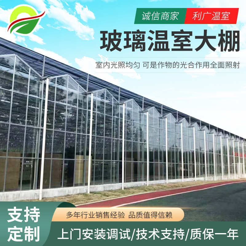 厂家建设现代智能农业温室大棚 玻璃温室大棚自动通风系统建设