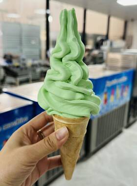 c商用水果冰淇淋搅拌机 不锈钢全自动酸奶冰淇淋搅拌机带清洗功能