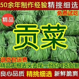 500g无叶贡菜新鲜苔干苔菜农家土特产干货脱水蔬菜干响菜
