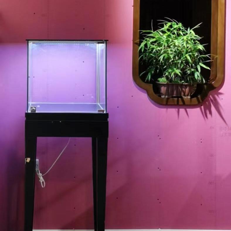 新中式小轩窗茶室装饰木框窗户框架客厅屏风隔断实木花窗垭口定制