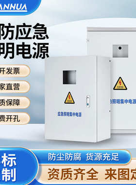 型配电分配电eps箱集中应急照明电源箱500w300w1kva消防灯具控制a