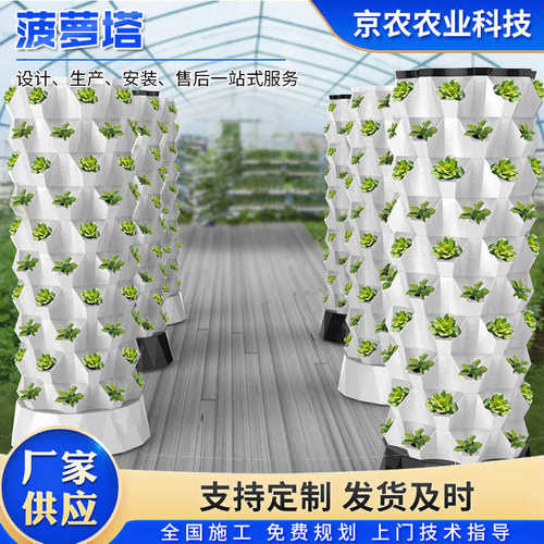 菠萝塔立体水培种植系统气雾栽培水果蔬菜种植设备无土栽培