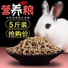 兔粮5斤小兔子活体侏儒兔，迷你公主熊猫，垂耳小白兔小型宠物兔饲料
