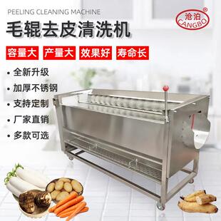 沧泊毛辊清洗去皮机商用土豆削皮机芋头藕毛刷全自动多功能脱皮机