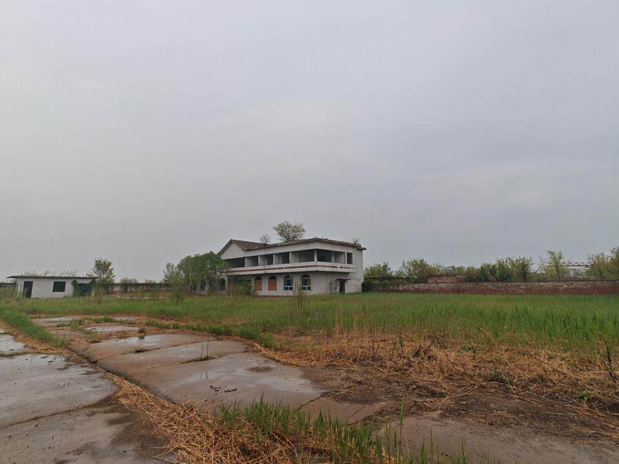 5月31日天津北辰区永定新河南的土地使用权和地上物网络拍卖公告