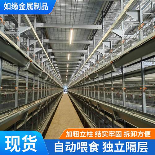 青年鸡育雏笼全自动框架养鸡设备加粗加密养殖笼具育雏笼青年鸡笼