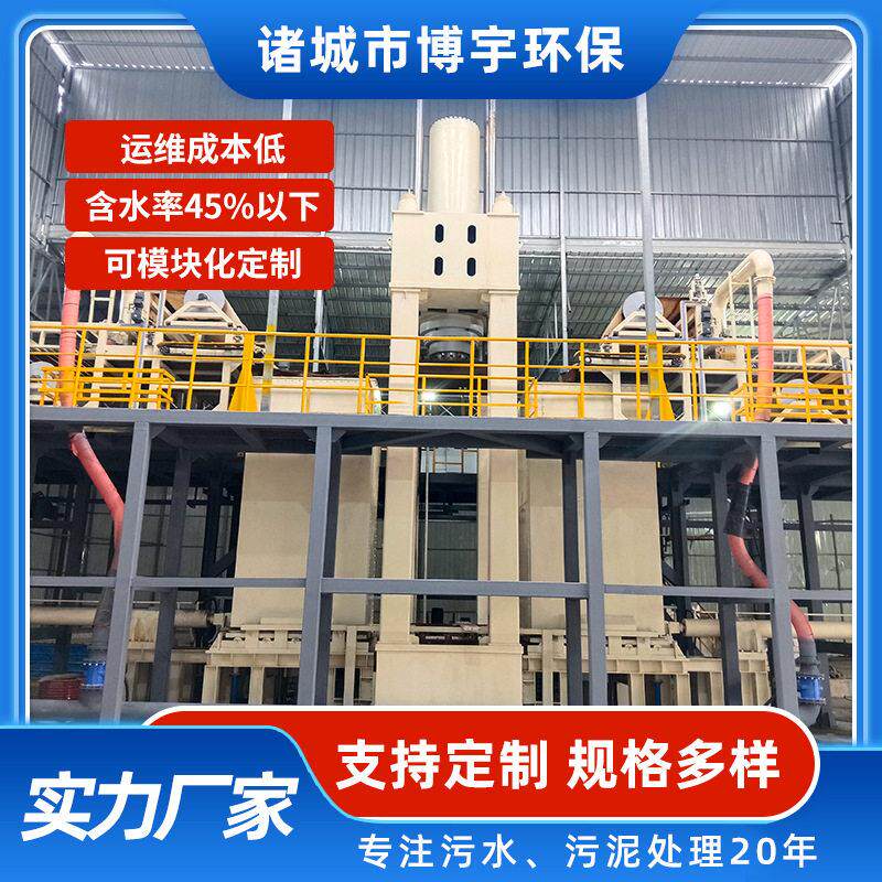 博宇智能超压污泥固液分离设备纺织印染化工压污泥深度脱水机