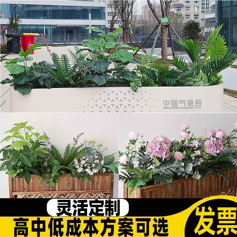 室外花箱造景植物仿真热带蕨类店铺门口装饰高级仿生绿植组合花槽图片