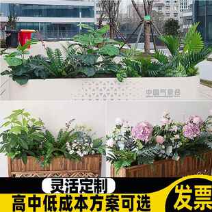 室外花箱造景植物仿真热带蕨类店铺门口装饰高级仿生绿植组合花槽