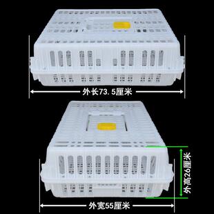 全KRO新料厚鸡塑料熟胶运输笼专笼用加家禽周转箱运输筐鸡大号鸭
