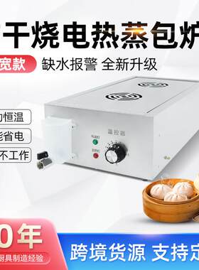 商用蒸包炉包子机台式加宽两孔电蒸包炉早餐蒸笼保温蒸包机双孔