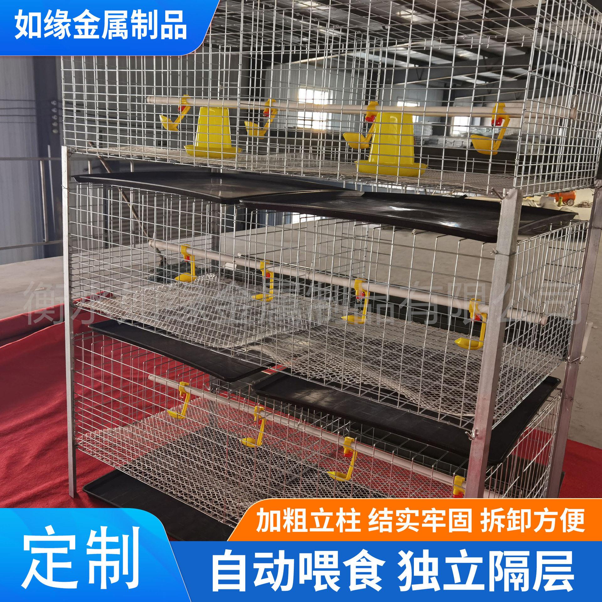 定制立式肉鸡笼H型雏鸡肉鸡两用笼具层叠式含拖粪盘鸡笼家用鸡笼