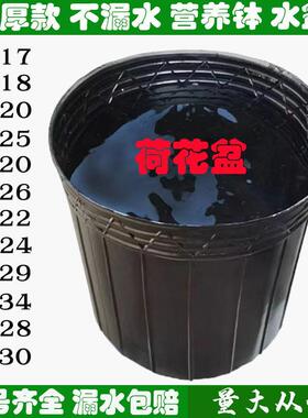 水盆 无孔营养钵 加厚塑料睡莲不漏水 荷花盆 碗莲盆 荷花营养杯