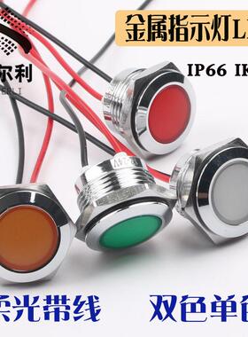 LED金属指示灯16mm/19mm/22mm带线讯号灯柔光单双色三色 换配电柜
