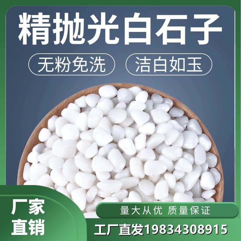 福建天然白石子鹅卵石雨花石铺路原石庭院造景盆栽装饰白色石头