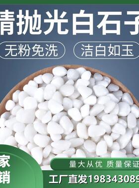 福建天然白石子鹅卵石雨花石铺路原石庭院造景盆栽装饰白色石头