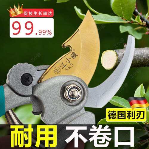 SK5修剪树枝专用剪子果树粗枝剪刀园艺修花神器修枝剪刀省力