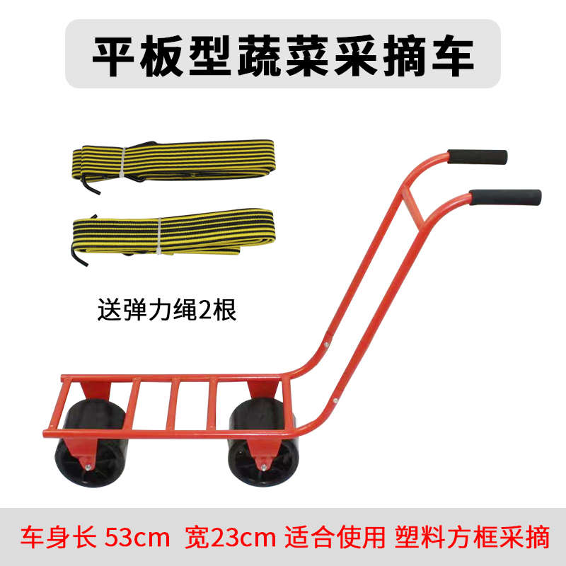 蔬菜瓜果运输采摘工具车西红柿采摘大棚运输车采摘手推工具车