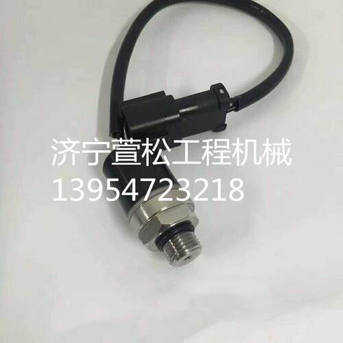 SL50W-2轮式装载机旋转油封403102装载机配件