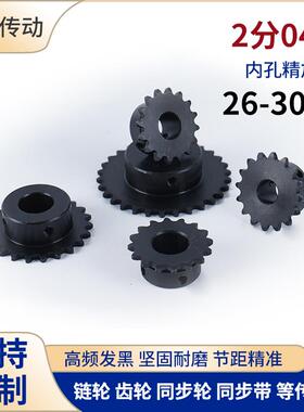 2分04C26 27 28 29 30T链轮25H链条SP25B12内孔8 10 12 14 151617
