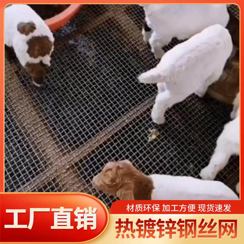 热浸镀锌钢丝网羊床漏粪网羊床钢丝网鸡鸭牛羊漏粪底网加粗加厚钢