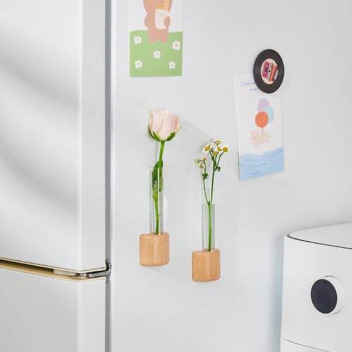 Cross-border new solid wood refrigerator magnet test tube va