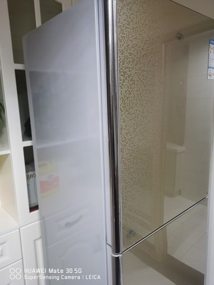 尊贵bcd-251c铜管钢化玻璃冷冻面板选择误区，需要注意这五点