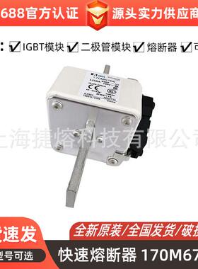 170M6766 170M6808 快速熔断器 保险丝 电子元器件 量大价优