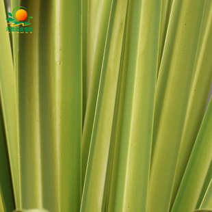 天昆仿真芦苇宽草盆栽仿真绿植家居仿真树装饰网红草地造景假植物