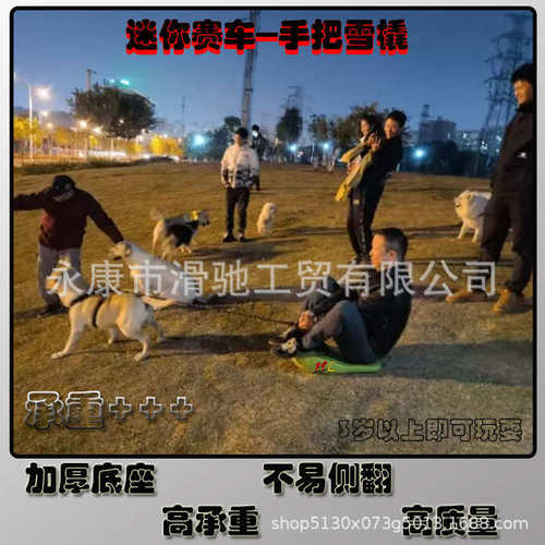 滑驰滑草板手把雪橇滑沙板儿童成人滑雪板加厚耐磨户外滑沙