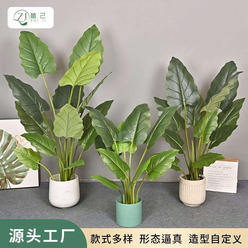仿真绿植绿帝王轻奢家居室内客厅商场大型落地装饰植物盆景摆件树