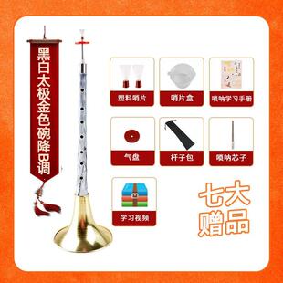 高档初成学唢者呐树脂乌木学生民族吹奏乐器人入门D调降中B调号喇