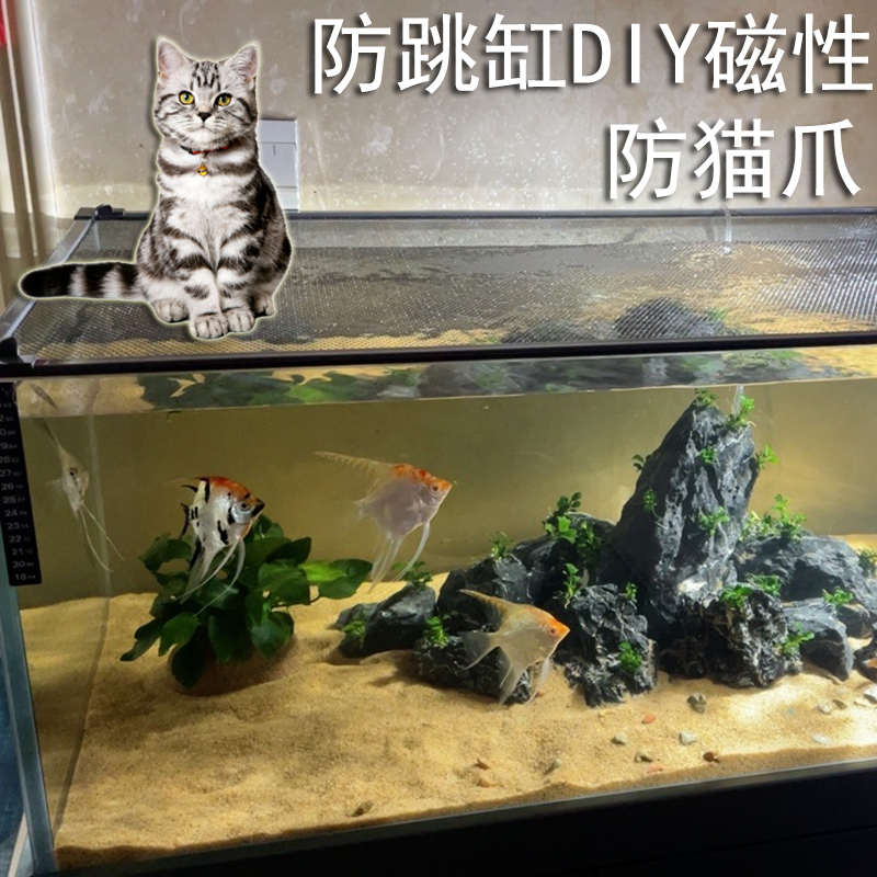 鱼缸防跳网磁性磁铁放跳缸鱼缸防逃网盖雷龙防跳网乌龟防逃爬虫盖
