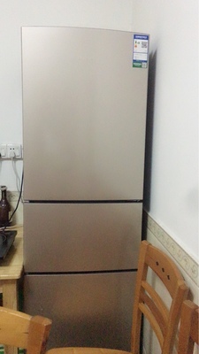 容声 BCD-220WD16NP电冰箱详细评测报告看了让人心惊