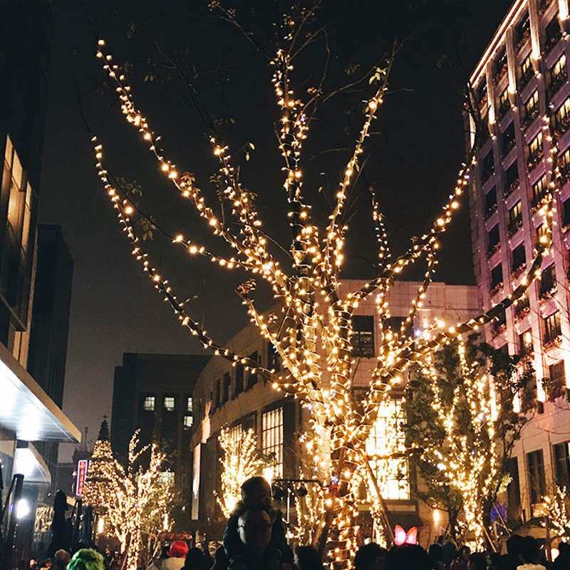 LED圣诞星星灯串线节日灯户外防水彩灯装饰灯工程亮化灯橱窗布景