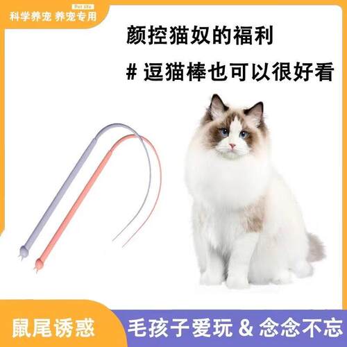 Long Teaser Wand for Cats, Kitten Pet Toy with Realistic Mou