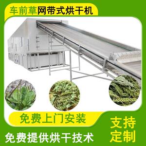 网带车前草烘干机大型履带牛舌草车茶草除湿干燥机蛤蟆叶风干机