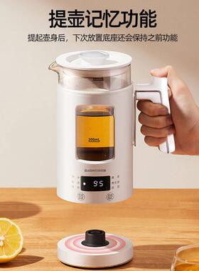 玻璃养生壶办公室小型花茶壶杯一人煮茶壶电炖杯迷你多功能养生杯